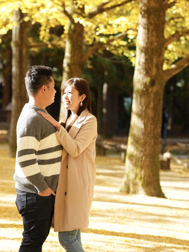 Picturesque Nami island in Fall 🍂🍁