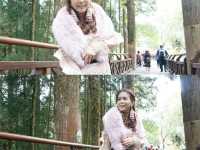 Alishan