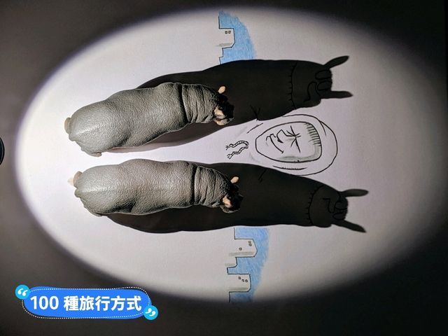 奇美博物館-有影無影？影子魔幻展