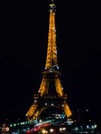 【絶景🇫🇷】憧れのパリ！色んな時間帯のエッフェル塔🗼