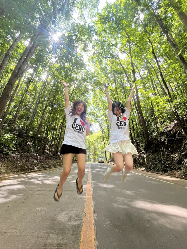 チョコレートヒルズ　Bohol