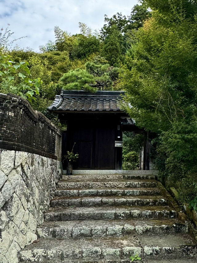 【山口旅行】 隠れ家みたいなレストラン🍽️