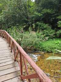 อุทยานแห่งชาติทองผาภูมิ
