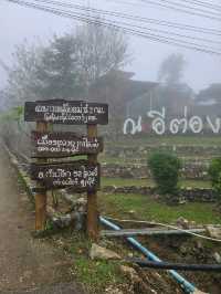 หมู่บ้านอีต่อง เหมืองปิล็อก