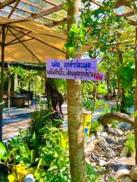 ป่าช้าคาเฟ่