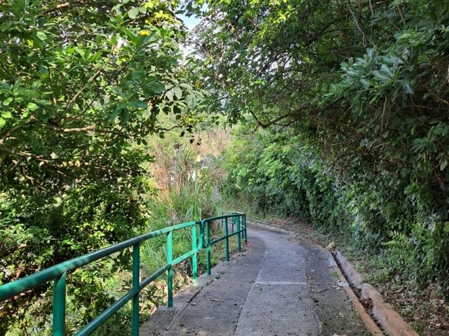 【Tai Wong Temple:香港】山と海の絶景スポット!!
