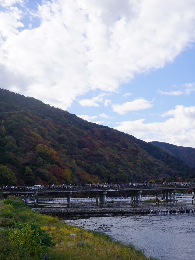 京都｜紅葉シーズンの嵯峨野・嵐山を巡る旅