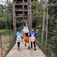 Elephant Encounters and Jungle Fun: My Day at Kenyir Elephant Conservation Village!