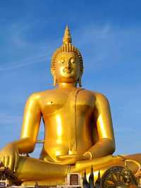 วัดม่วง
