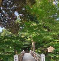 ☆ 德川園