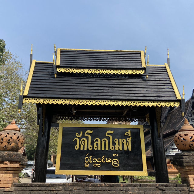 ขอพรที่ วัดโลกโมฬี วัดดังเชียงใหม่