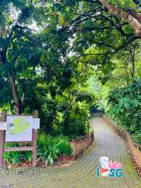 🇸🇬 A Refreshing Escape: Exploring Bukit Batok Nature Park