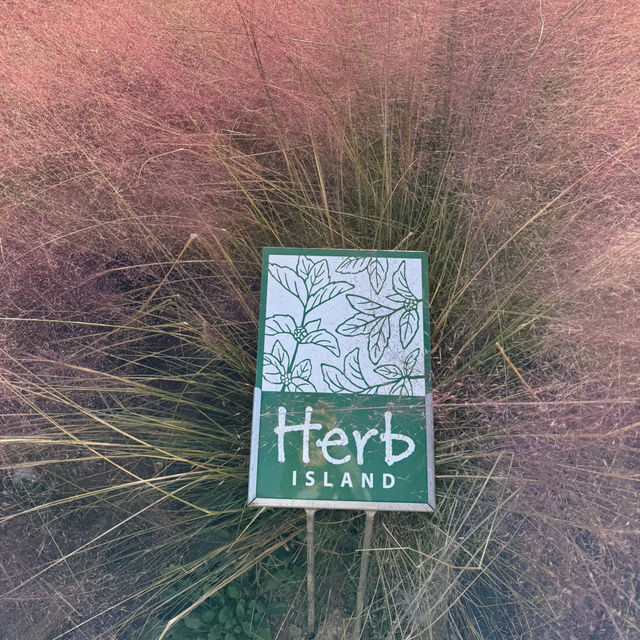 Herb Island: A Serene Escape from Seoul’s Bustle 🇰🇷