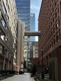 도쿄역 주변 이탈리아 레스토랑 𝔸𝟙𝟞 𝕋𝕆𝕂𝕐𝕆