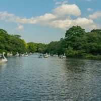 景點推薦：井之頭恩賜公園，自然與藝術的完美結合