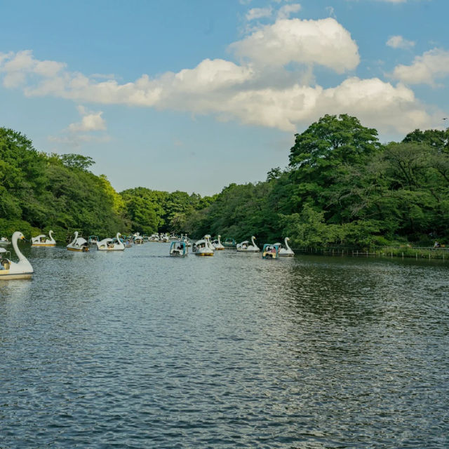 景點推薦：井之頭恩賜公園，自然與藝術的完美結合