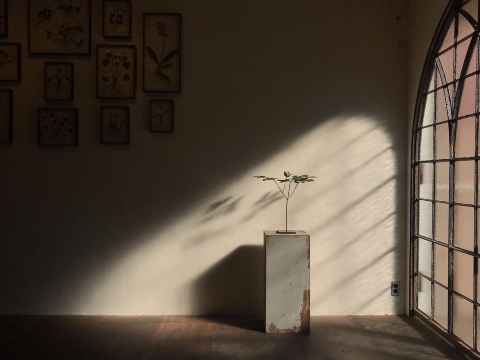 神奈川県・川崎市】special source atelier galleryでモリソン小林の