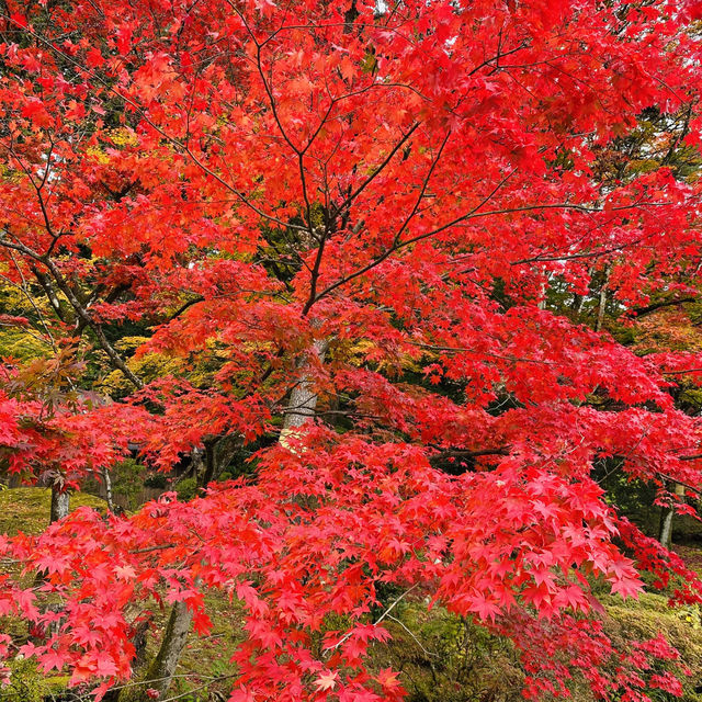 Nikko Japan