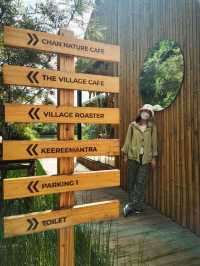 🧈 CHAN Nature Cafe