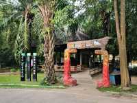 ผจญภัยในโลกของสัตว์ป่าแบบใกล้ชิด 🐾🌳✨