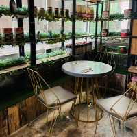 健康食材餐廳｜慢理牆城 (油麻地)