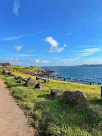 Explore the Wonders of Seogwipo-si