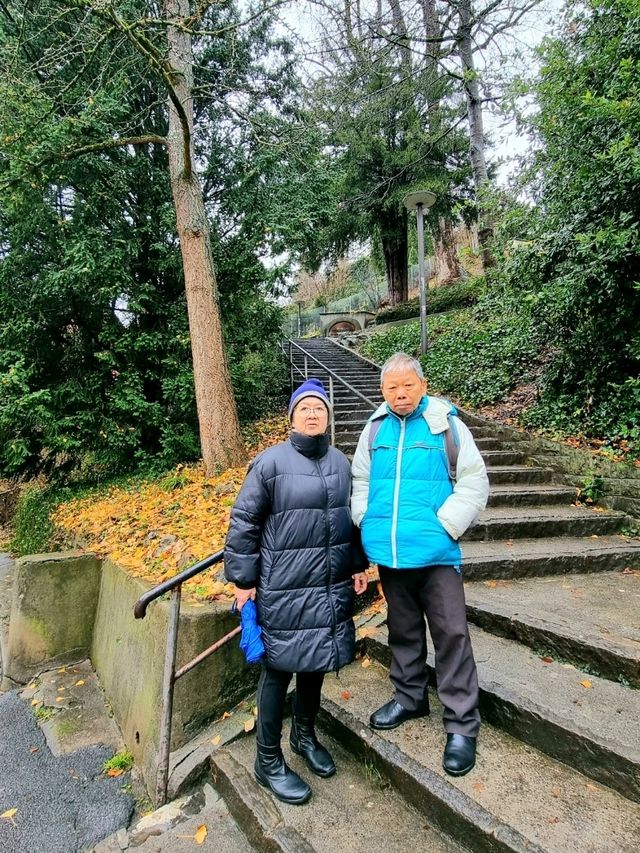 🇨🇭 City Walking in Lucerne