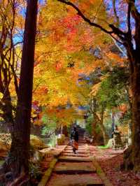 京都南丹の美しい紅葉🍁龍穏寺の秋🍁