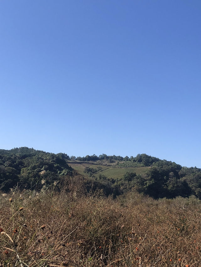 댑싸리 공원하면 바로 여기💫