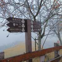 A Peaceful Retreat at Qingjing Farm: My Taiwan Adventure 