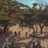 가을 붉은단풍으로 물든 천년의 역사“경주 불국사”