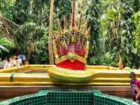ป่าคำชะโนด: สถานที่ศักดิ์สิทธิ์แห่งตำนานพญานาค