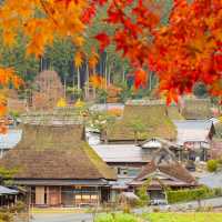 Miyama kayabuki  japan