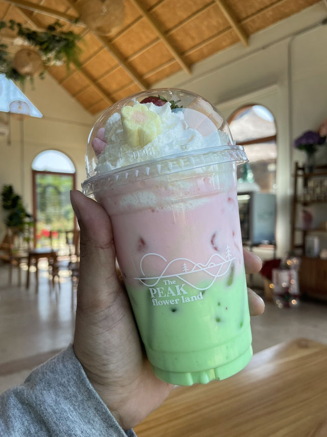 The Peak Flower Land 🌸 เขาใหญ่ 💖