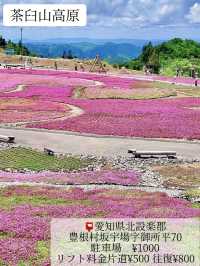 [愛知]お手軽に季節の花を楽しめるスポットBEST5