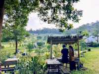 ที่พักท่ามกลางธรรมชาติกลางทะเลหมอก วิวภูเขา