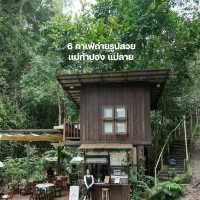 6 คาเฟ่น่านั่งแม่กำปอง แม่ลาย
