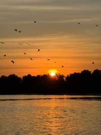 พายซัพบอร์ดชมเหยี่ยว | จ.จันทบุรี 🏄🏻‍♂️🌳🌤️🦅