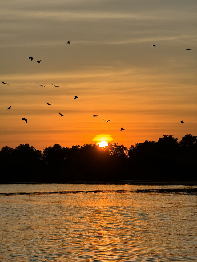 พายซัพบอร์ดชมเหยี่ยว | จ.จันทบุรี 🏄🏻‍♂️🌳🌤️🦅