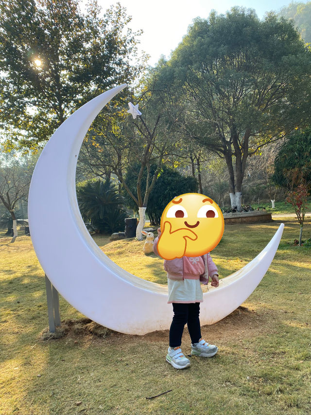 落羽杉與溫泉。森呼吸