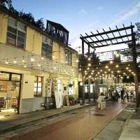 Shenji New Village: New Year Vibes in Full Bloom! 