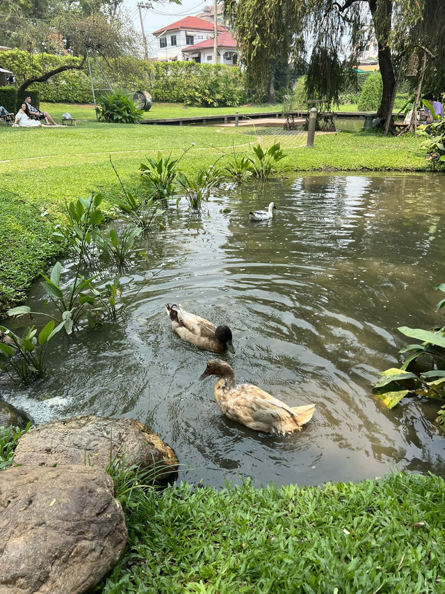 🍵🥯คาเฟ่ท่ามกลางธรรมชาติ🍃