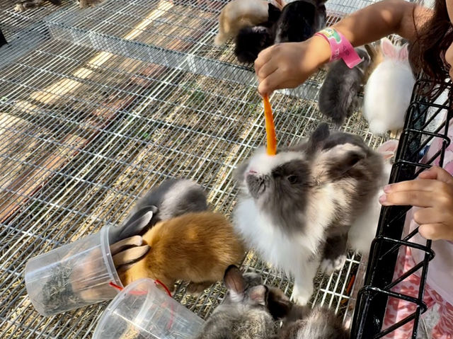 GET WILD AT TTI MINI ZOO | FEED, PLAY, AND EXPLORE IN TERENGGANU