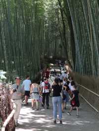 Step Into Serenity: The Enchanting Arashiyama Bamboo Forest