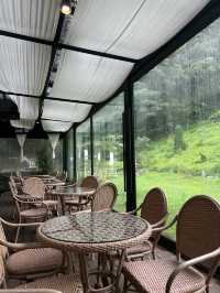 คาเฟ่ mandi ปูซาน