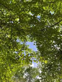 สวน Seoul forest ในฤดูใบไม้ผลิ