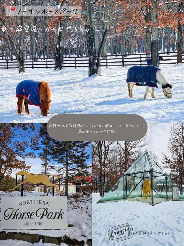 【北海道観光スポットまとめ！】各詳しい情報あり！