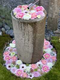 【埼玉×行田】週替わりの花手水が境内の至る所に・・