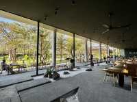 ที่พักในตัวเมืองเพชรบูรณ์ ฟังเพลงเบาๆ อาหารอร่อย