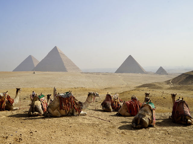 Fun Camel Ride at the Pyramids of Giza🐫